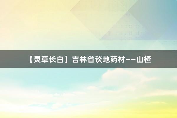 【灵草长白】吉林省谈地药材——山楂