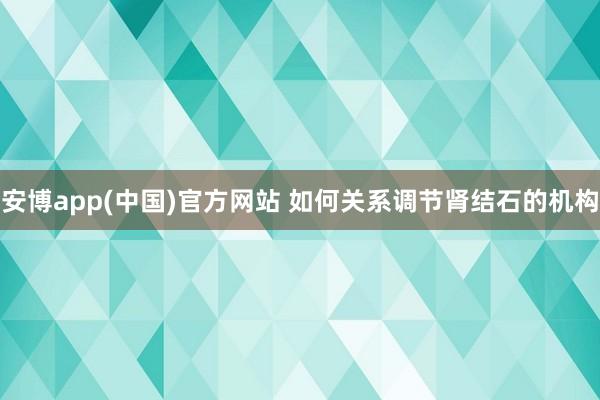安博app(中国)官方网站 如何关系调节肾结石的机构