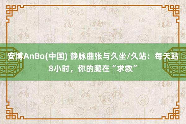 安博AnBo(中国) 静脉曲张与久坐/久站：每天站8小时，你的腿在“求救”