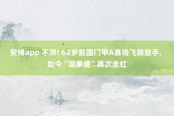 安博app 不测! 62岁前国门甲A赛场飞踹敌手, 如今“现象梗”再次走红
