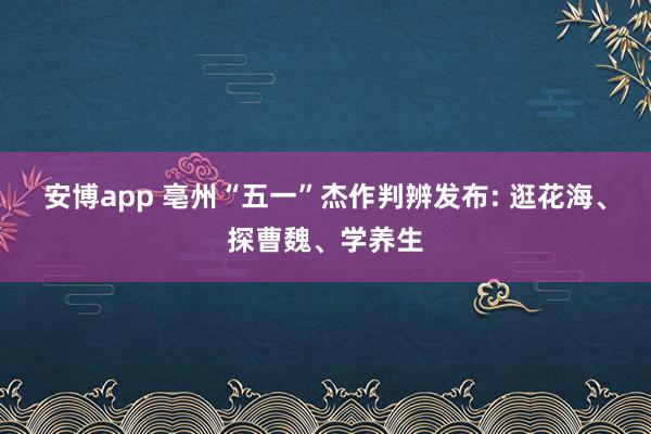 安博app 亳州“五一”杰作判辨发布: 逛花海、探曹魏、学养生