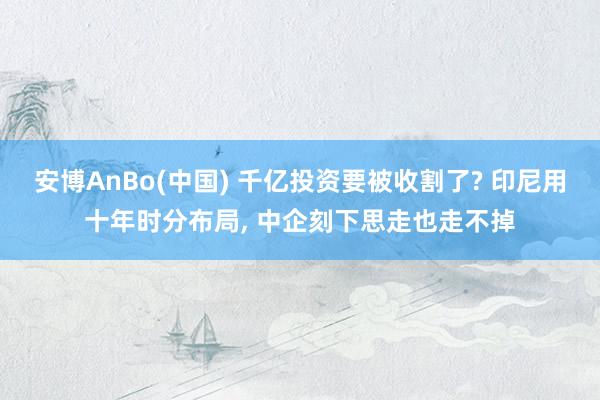 安博AnBo(中国) 千亿投资要被收割了? 印尼用十年时分布局, 中企刻下思走也走不掉
