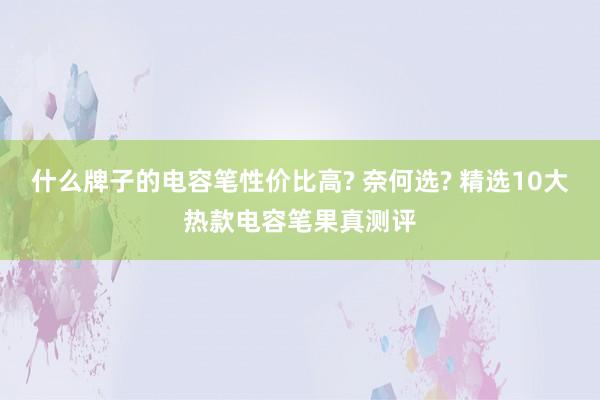 什么牌子的电容笔性价比高? 奈何选? 精选10大热款电容笔果真测评