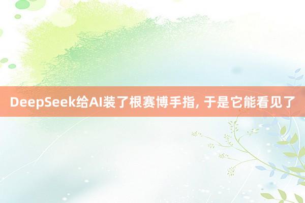 DeepSeek给AI装了根赛博手指, 于是它能看见了