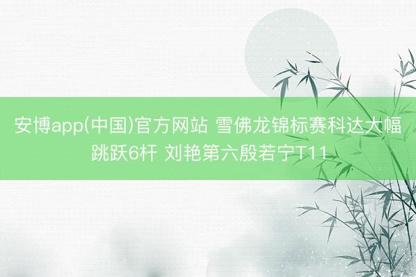 安博app(中国)官方网站 雪佛龙锦标赛科达大幅跳跃6杆 刘艳第六殷若宁T11